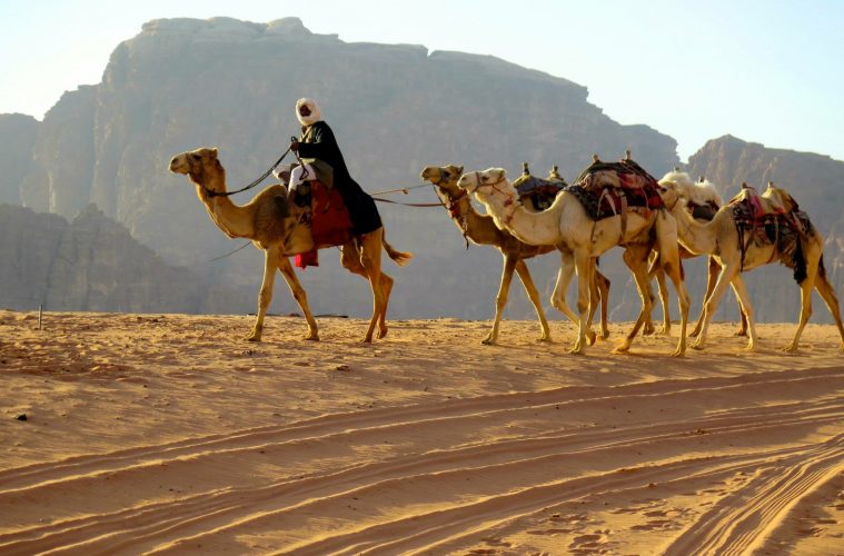 Bedouin with his camels, wandering in the Wadi Rum desert. Photo by Victoria Thorsen.