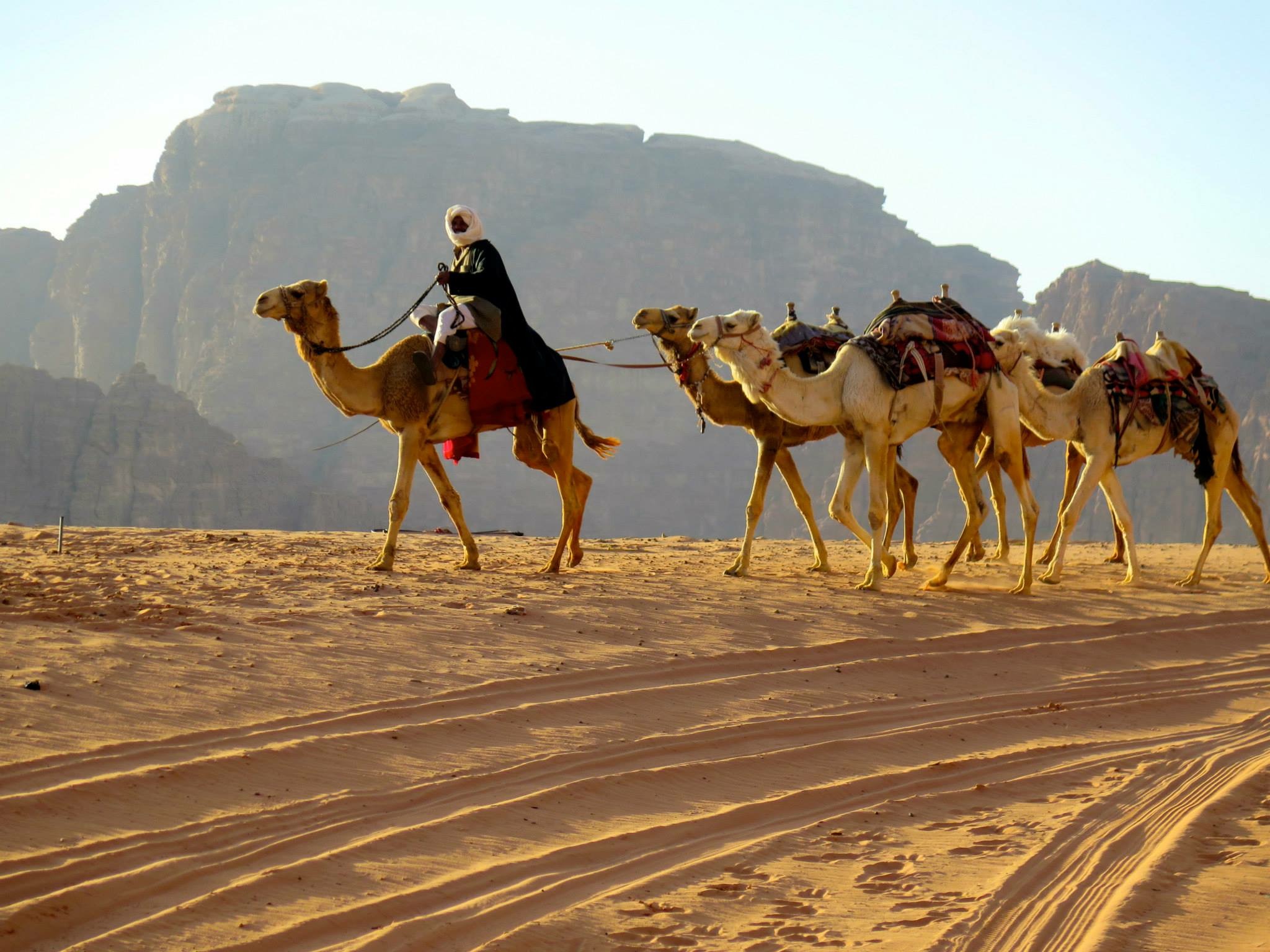 Bedouin with his camels, wandering in the Wadi Rum desert. Photo by Victoria Thorsen.